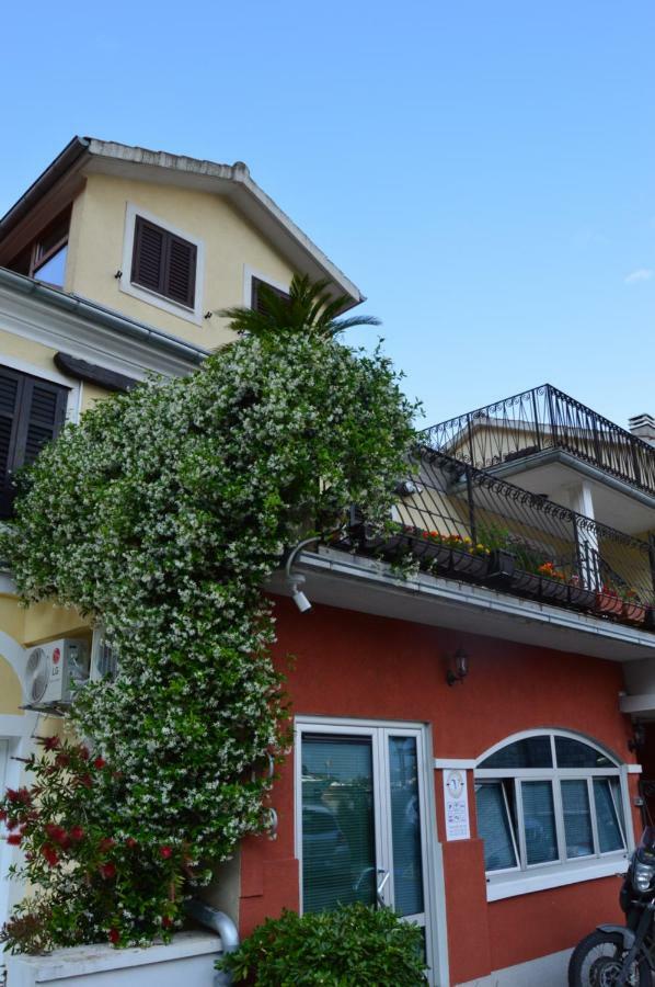 Apartments Qualitas Котор Экстерьер фото